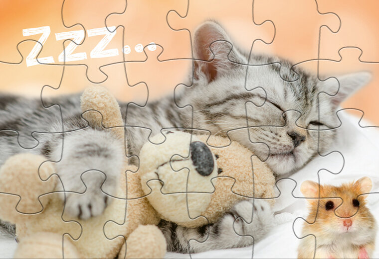 Rebo Productions Babydieren Legpuzzel Junior 24/24 Stukjes