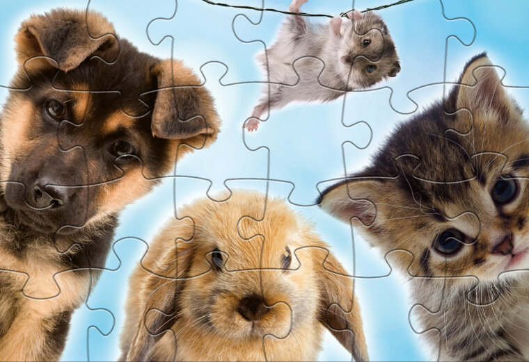 Rebo Productions Babydieren Legpuzzel Junior 24/24 Stukjes