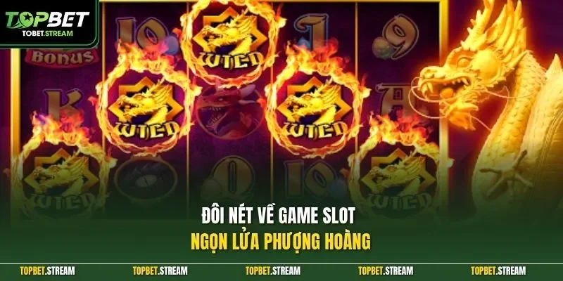 Đôi nét về game slot Ngọn Lửa Phượng Hoàng